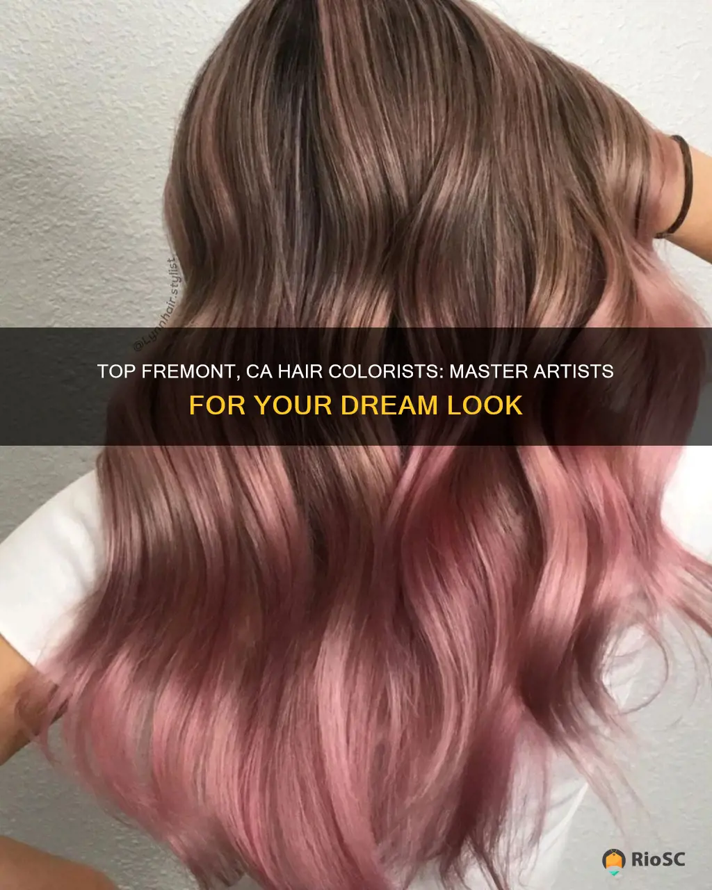 best hair colorist fremont ca