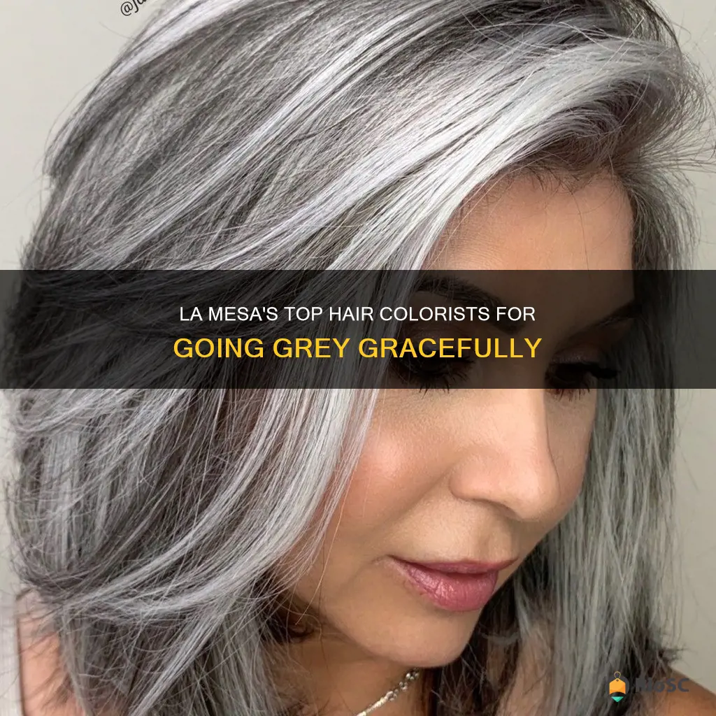 best hair colorist grey la mesa