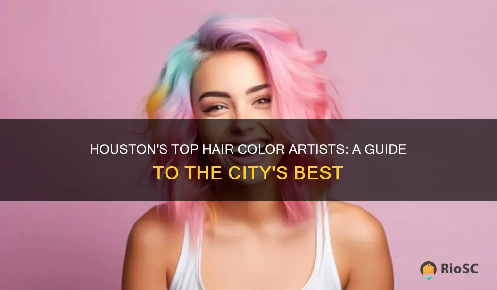 best hair colorist houston