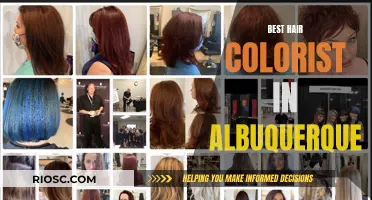 Albuquerque's Top Hair Colorists: Master Artists for Your Dream Look