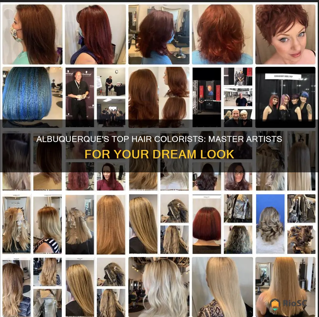 best hair colorist in albuquerque