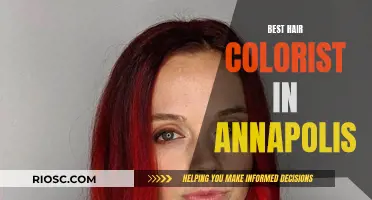 Top Hair Colorists of Annapolis: Finding Your Perfect Shade