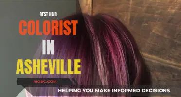 Asheville's Top Hair Colorists: Master Artists for Your Dream Look