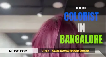 Bangalore's Top Hair Color Artists: Unlocking the City's Color Secrets