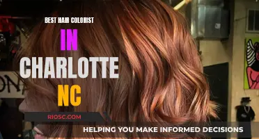 Charlotte's Master Colorists: Elevating Hair Art in the Queen City