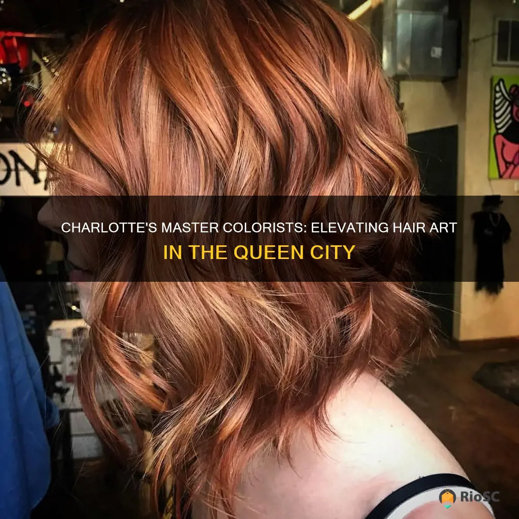 best hair colorist in charlotte nc