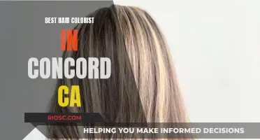 Top Concord, CA Hair Colorists: Master Artists for Your Dream Look