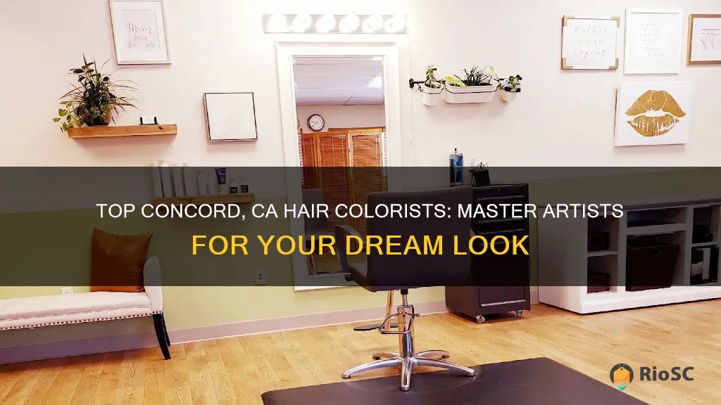 best hair colorist in concord ca