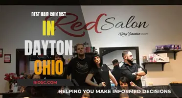 Dayton, Ohio's Top Hair Colorists: Master Artists for Your Dream Look