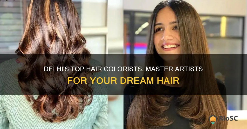 best hair colorist in delhi