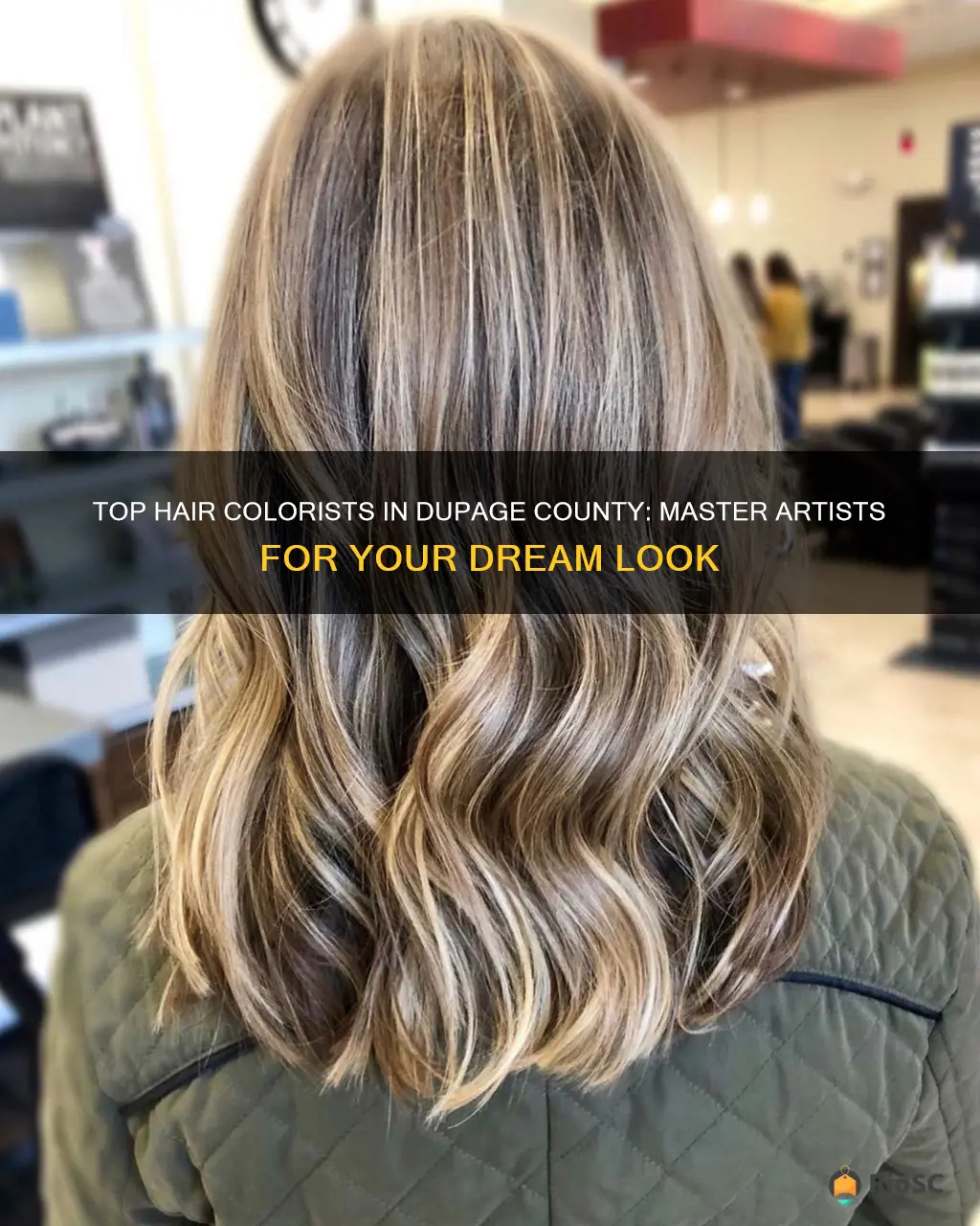 best hair colorist in dupage county