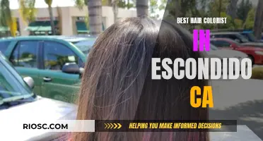 Escondido's Master Colorists: Unlocking the Art of Hair Color