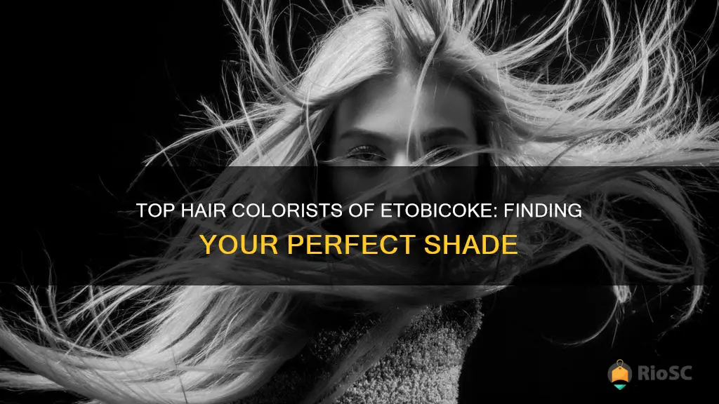 best hair colorist in etobicoke