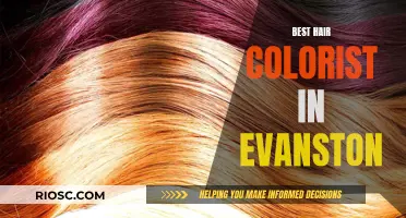 Top-Notch Hair Colorists of Evanston: Where to Go for Your Dream Shade