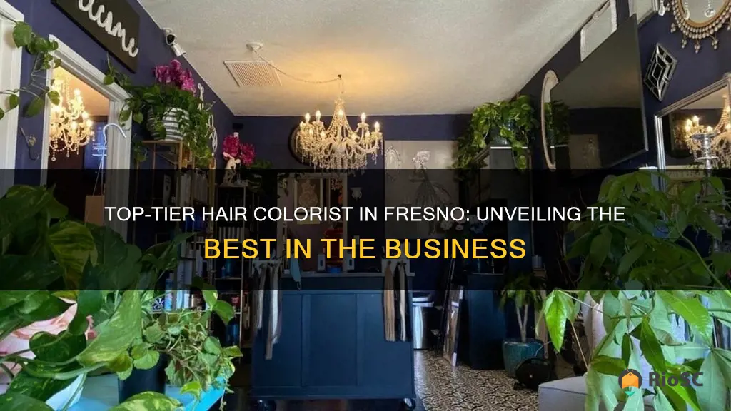 best hair colorist in fresno ca