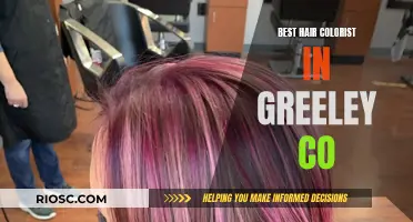 Top Hair Colorists in Greeley, CO: Master Artists for Your Dream Look