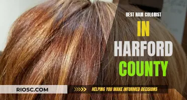 Top-Tier Hair Colorists of Harford County: A Guide to the Best in the Business