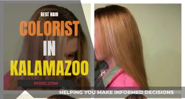 Kalamazoo's Top Hair Colorists: Master Artists for Your Dream Look