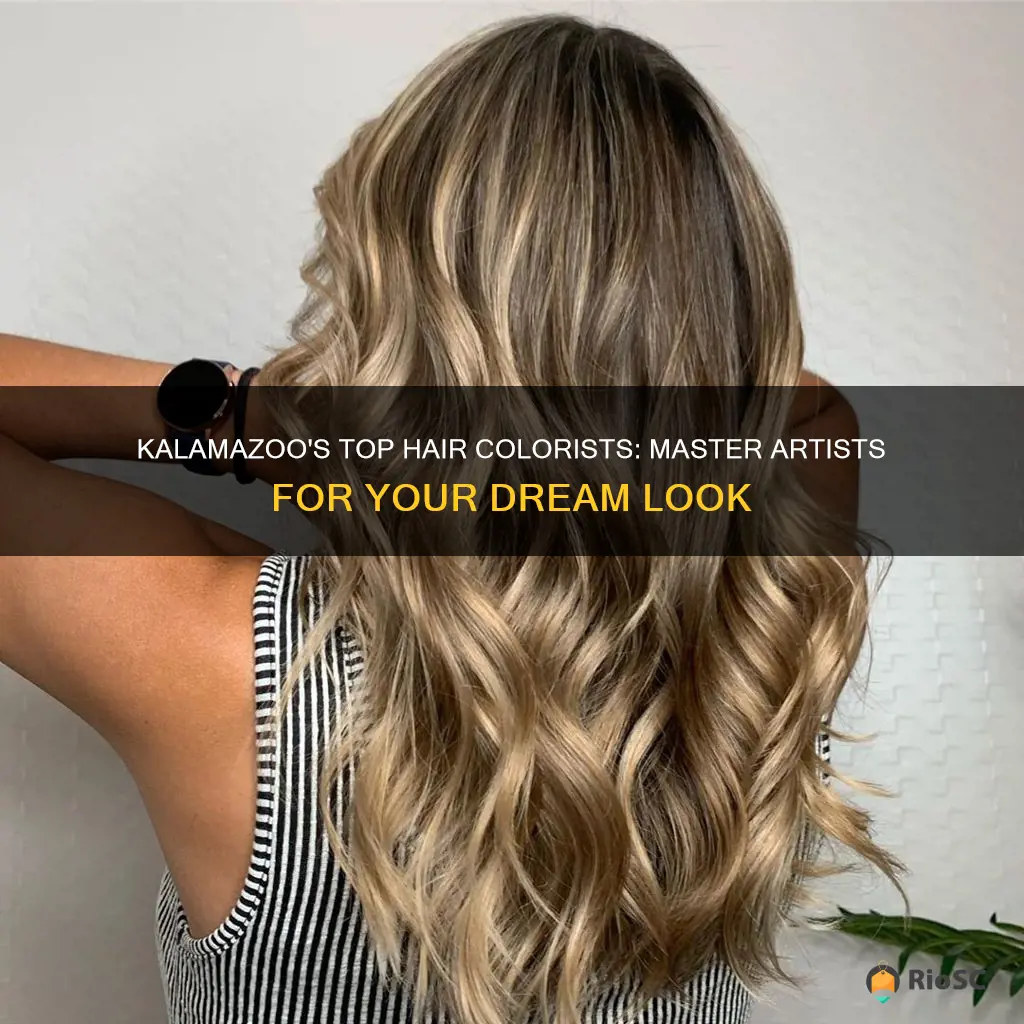 best hair colorist in kalamazoo