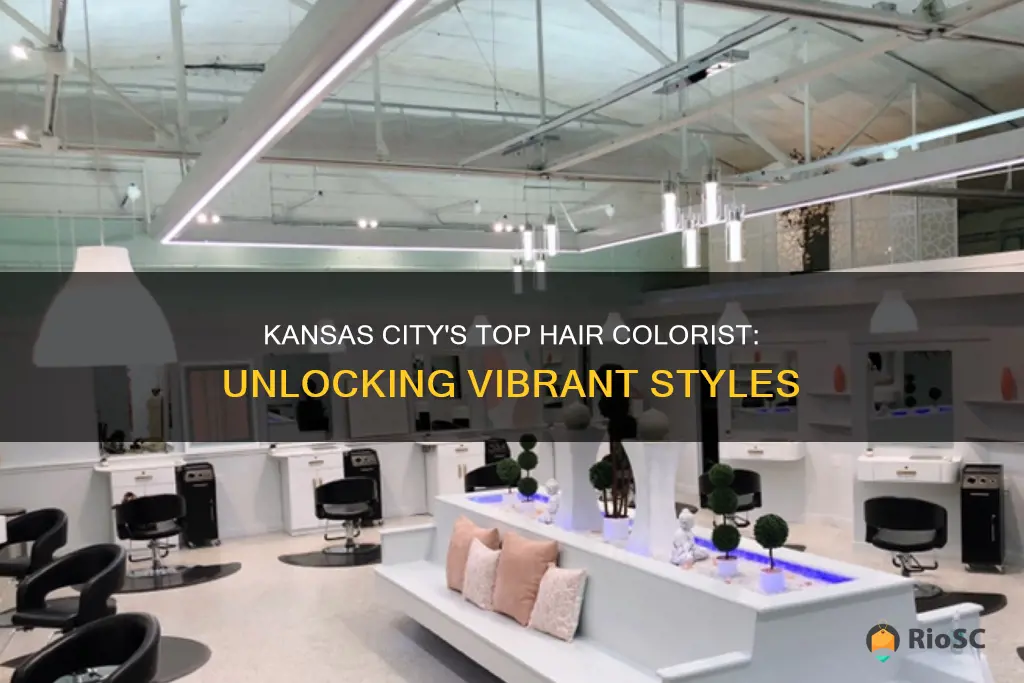 best hair colorist in kansas city