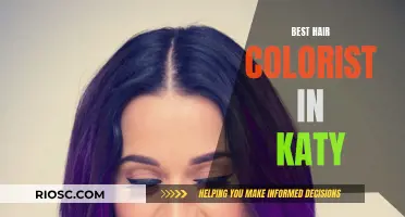 Katy's Color Masters: Unveiling the Best Hair Colorists in Town