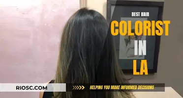 Master Colorists of LA: Where Art and Hair Meet