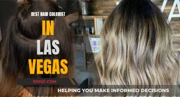 Las Vegas' Premier Hair Colorists: Unleashing Vibrant Styles