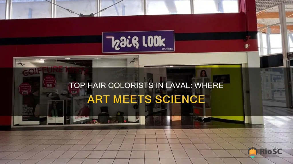 best hair colorist in laval