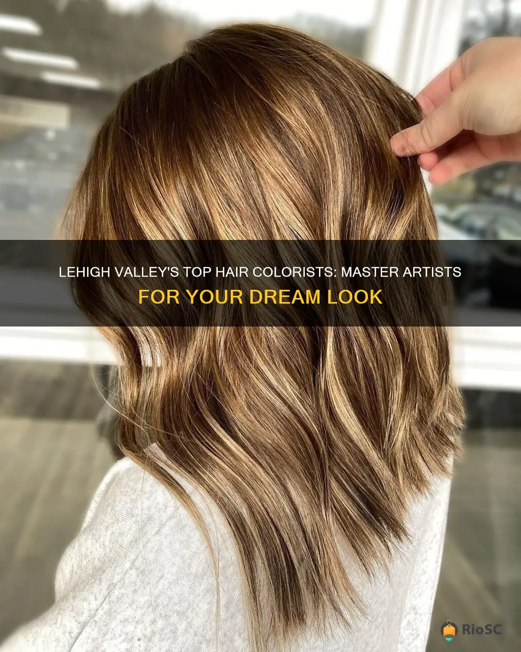 best hair colorist in lehigh valley