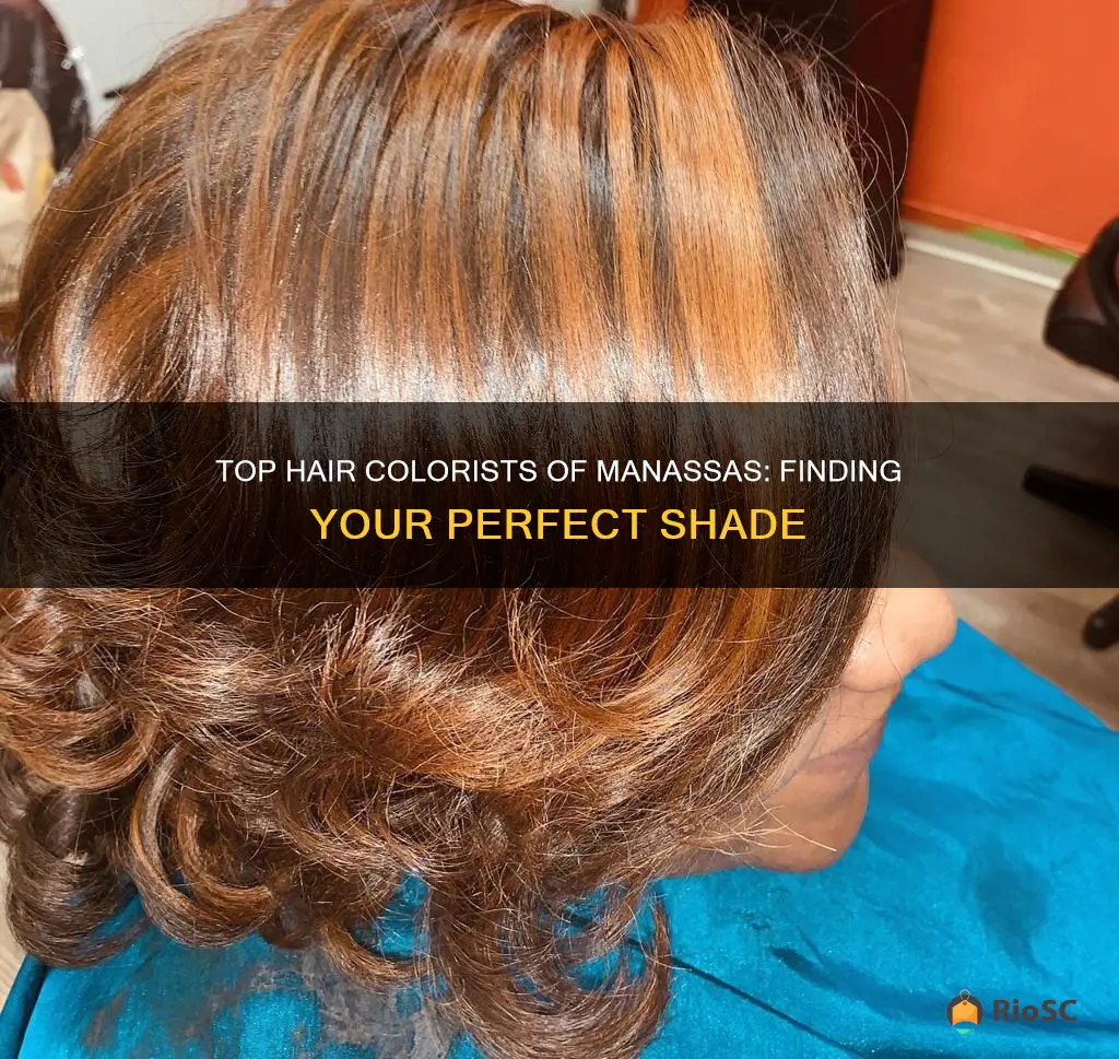 best hair colorist in manassas va