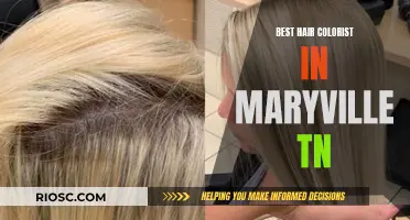 Top Hair Colorist in Maryville, TN: Uncover the Town's Best-Kept Secret for Stunning Hair Colors