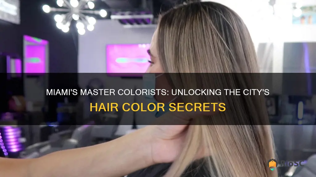 best hair colorist in miami