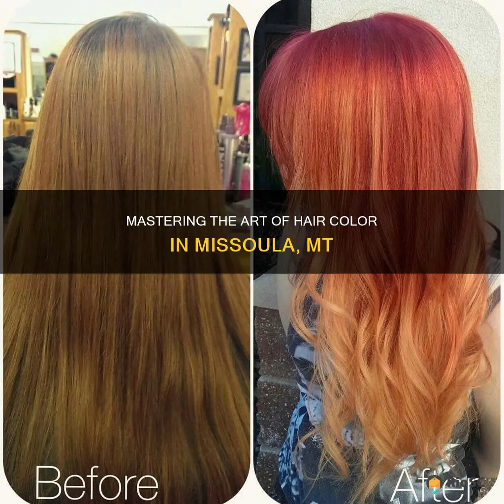 best hair colorist in missoula mt