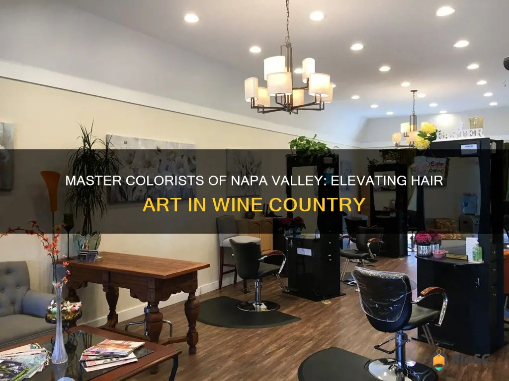 best hair colorist in napa ca