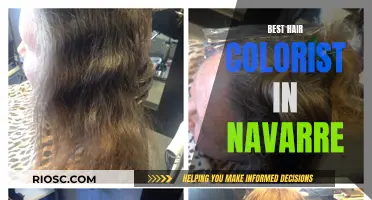 Top Hair Colorists in Navarre: Finding Your Perfect Shade