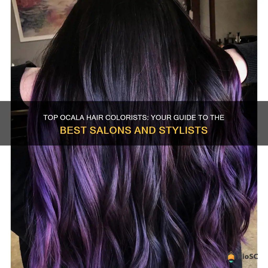 best hair colorist in ocala fl