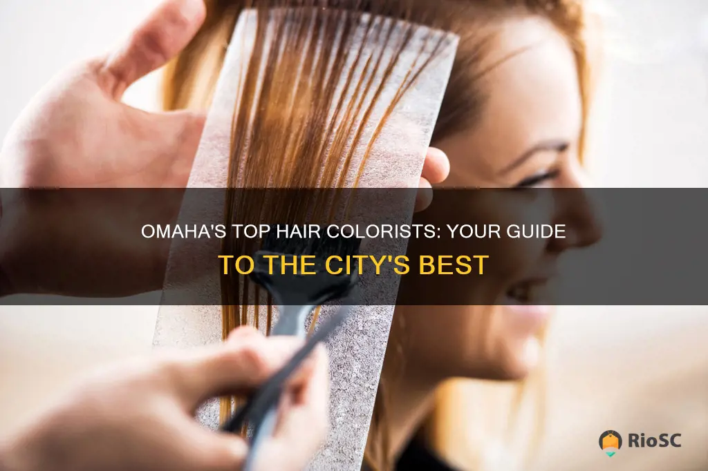 best hair colorist in omaha ne