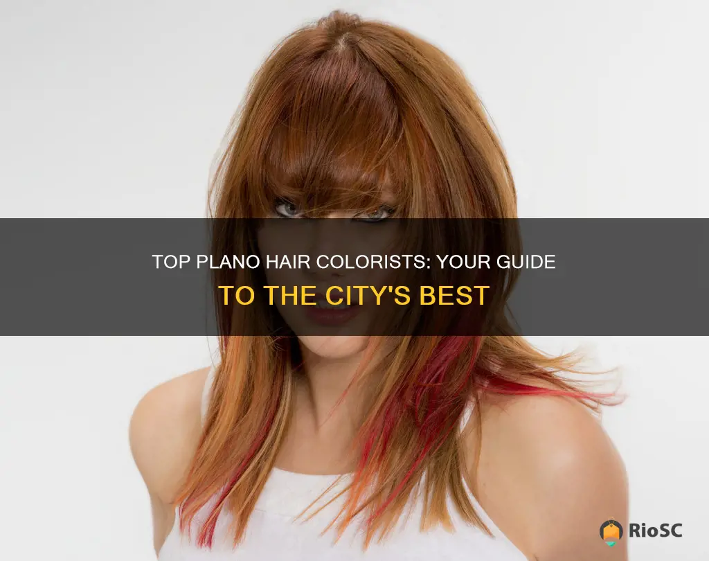 best hair colorist in plano