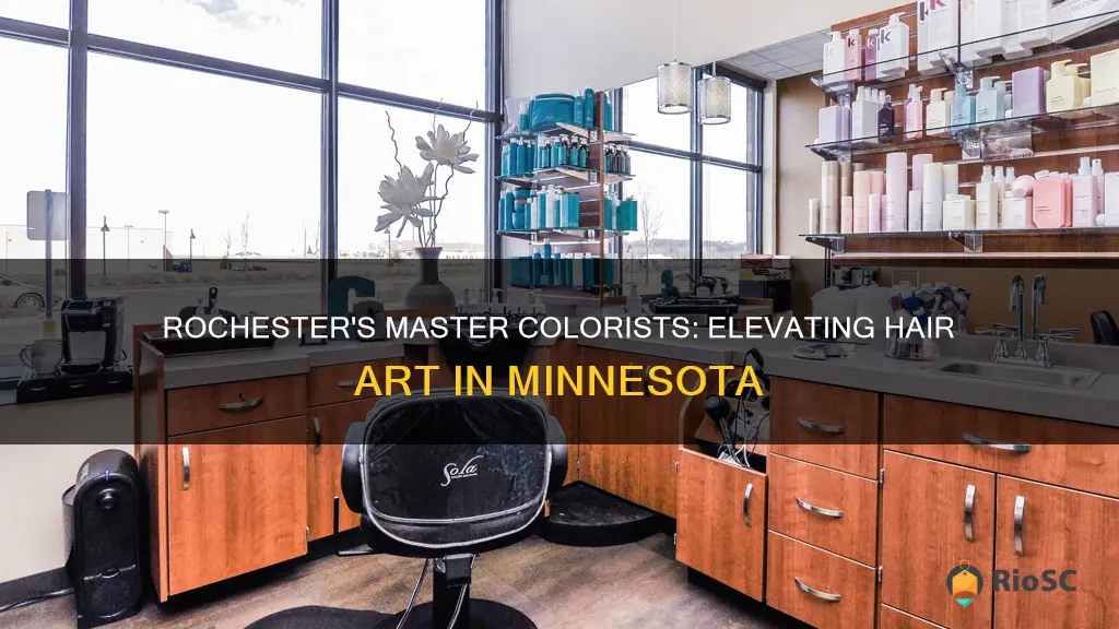 best hair colorist in rochester mn