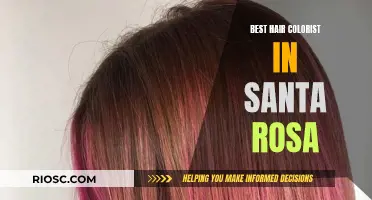 Santa Rosa's Top Hair Colorists: Master Artists for Your Dream Look