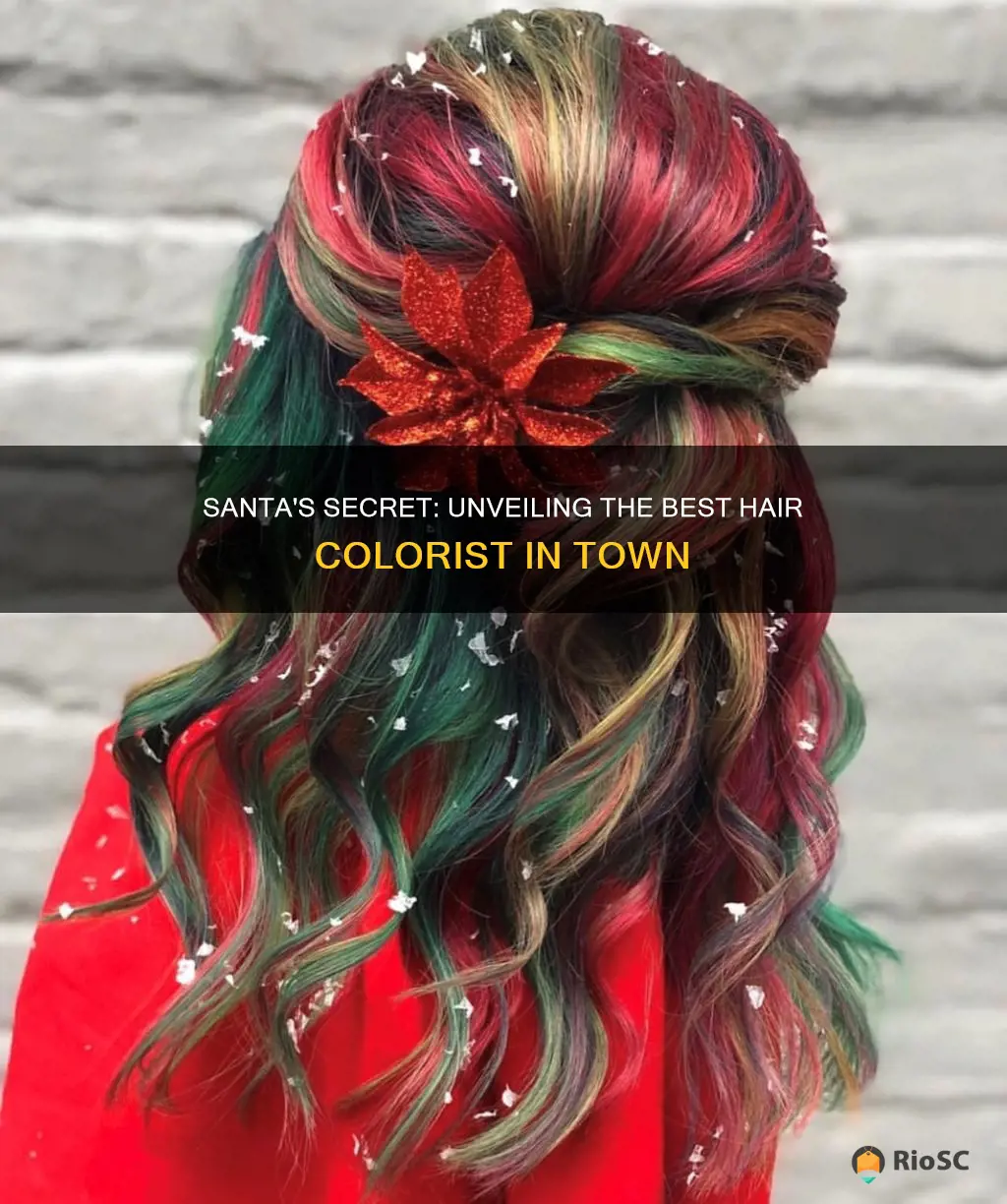 best hair colorist in santa