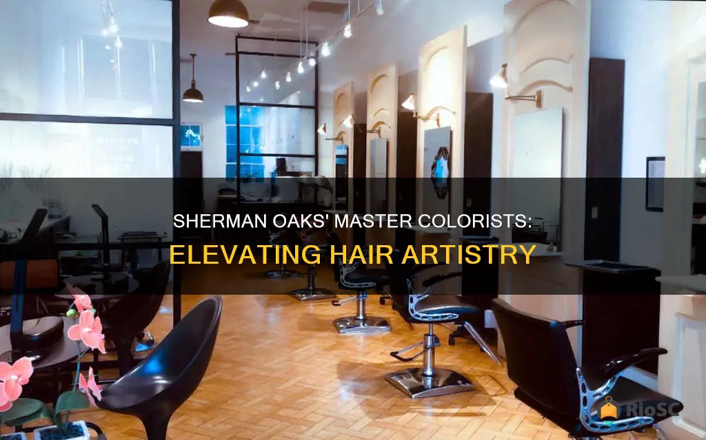 best hair colorist in sherman oaks