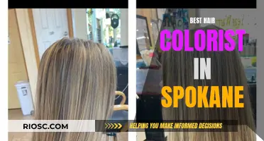 Spokane's Top Hair Colorists: Master Artists for Your Dream Look