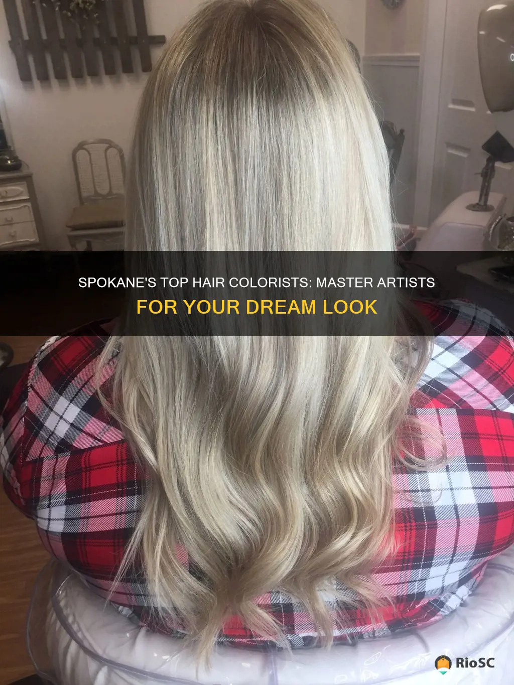 best hair colorist in spokane