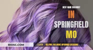 Springfield, MO's Top Hair Colorists: Master Artists for Your Dream Look