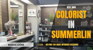 Summerlin's Top Hair Colorists: Your Guide to the Best in the Business