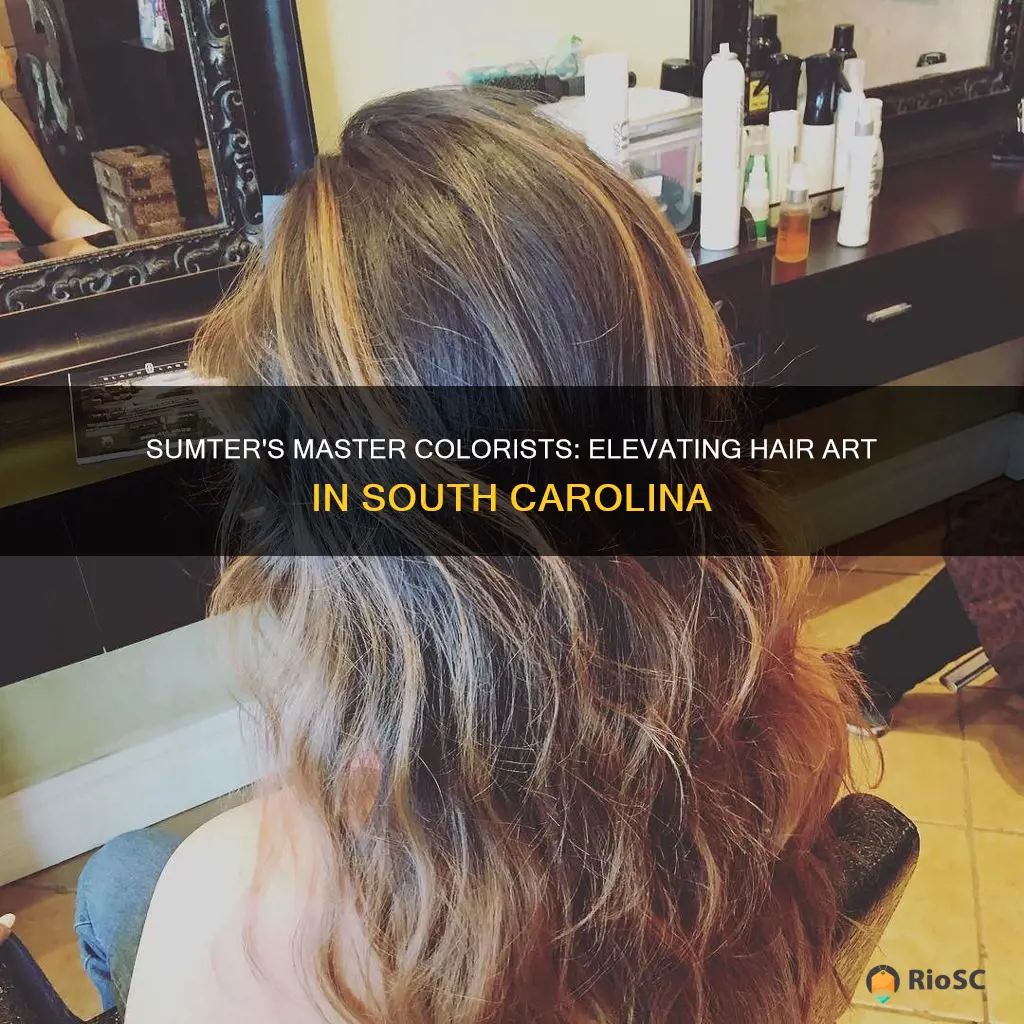 best hair colorist in sumter sc