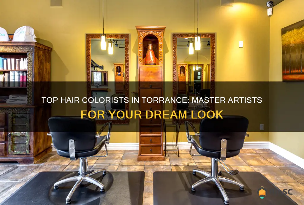 best hair colorist in torrance ca