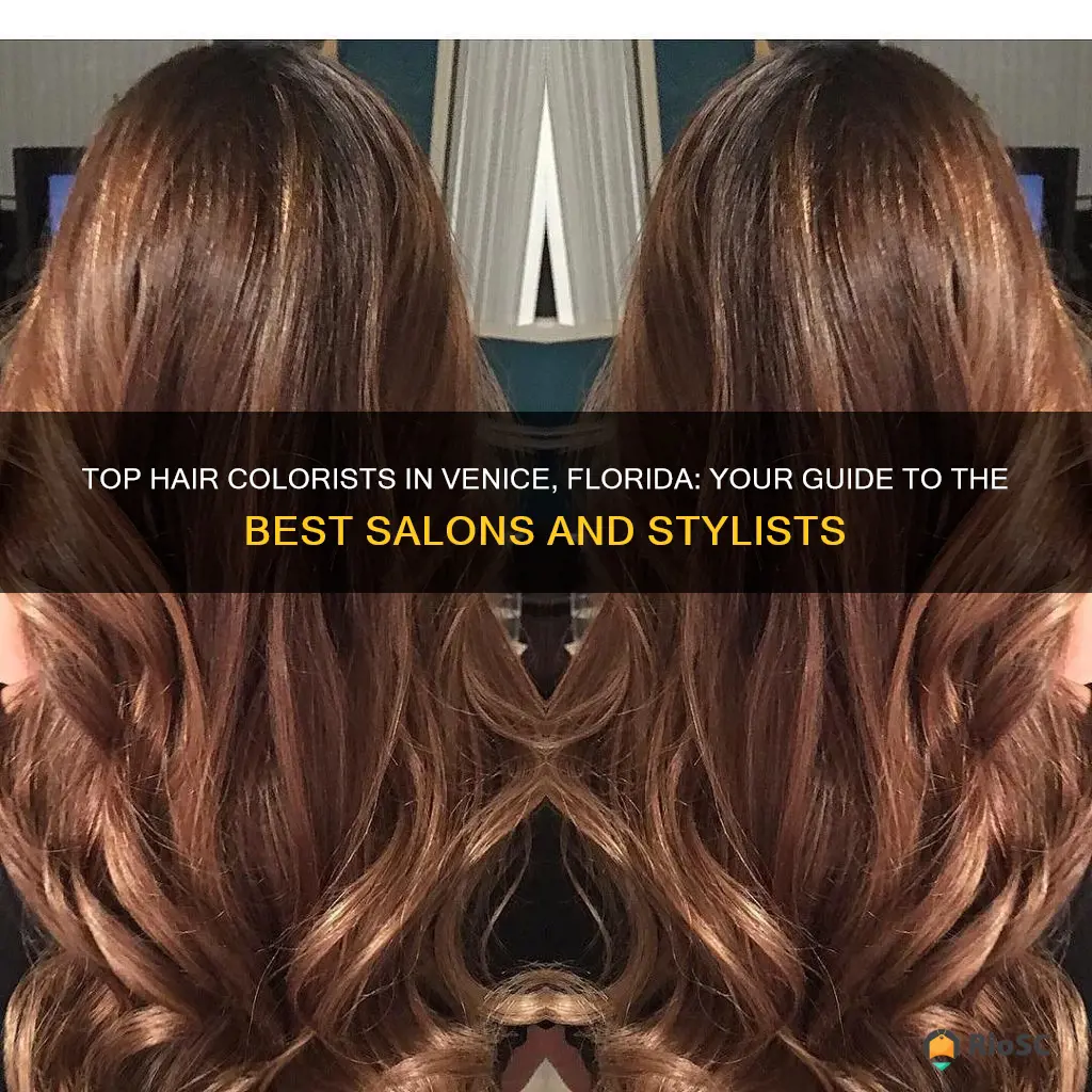 best hair colorist in venice fl