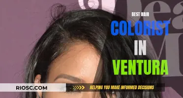 Ventura's Top Hair Colorist: Master of Color and Craft